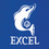 Logo Excel